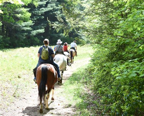 Horse Trails Visit Augusta County