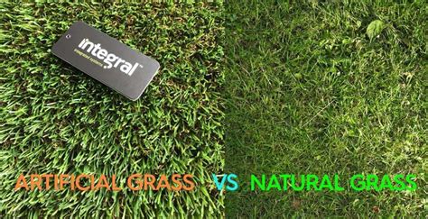 Artificial Grass vs Natural Grass - Iıntegral