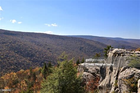 Lions Head Mountain Top At Dolly Sods Wilderness West Virginia Usa High