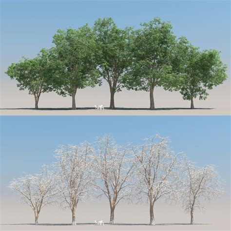 3D Shrubs 60 TurboSquid 1381776