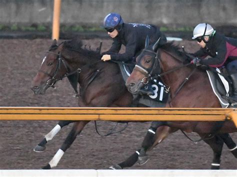 【アルテミスs】新馬戦上がり3fjra最速タイで注目 リバティアイランドが上昇ムード 競馬ニュース Netkeiba