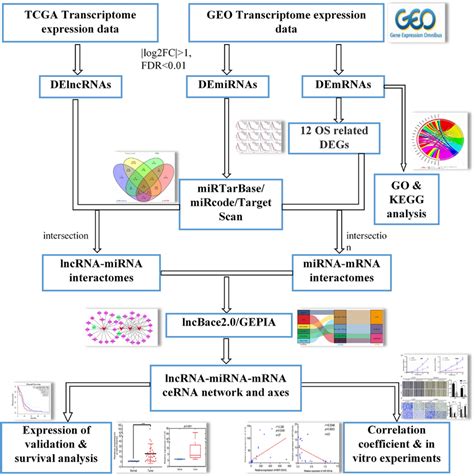 Flow Chart Of CeRNA Network And Control Axis Construction In