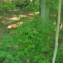 Nellebeachgirl Nude OnlyFans Leaks Fapopedia