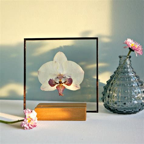 Stained Glass Orchids Etsy