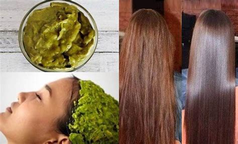 Mascarilla Para El Cabello Con Aguacate ¡le Devolverá El Brillo A Tu