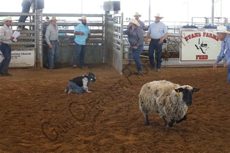 Gary Carpenter Photography Mutton Bustin Saturday Afternoon