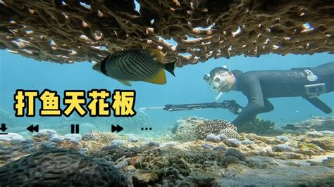 《环球探海记》阿曼 第45天：今天潜水碰到大货，居然把渔枪都给扯断啦，幸亏后美德来帮忙修复好！ 自由潜渔猎 阿曼马西拉岛 海鲜美食猎奇