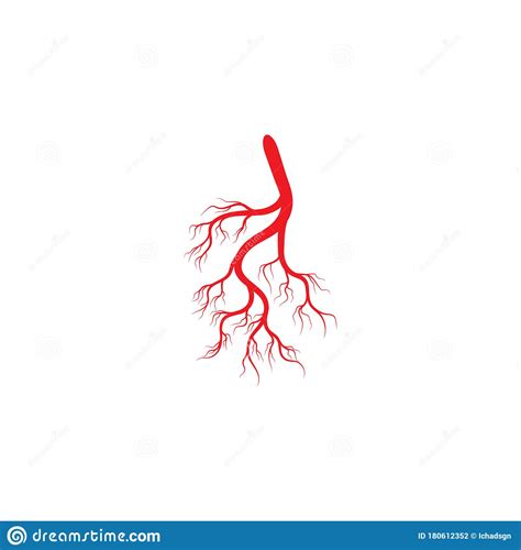 Human Veins And Arteries Illustration Design Stock Illustration