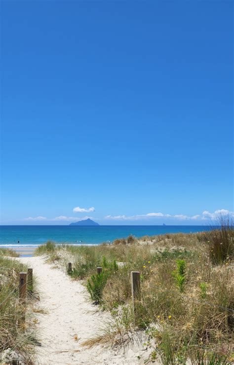 Sun Sea Sex Kiwi Swingers