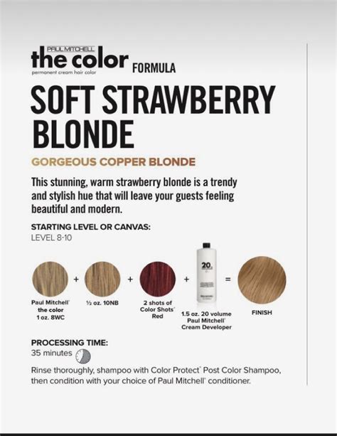 Professional Hair Color Chart Paul Mitchell Color Copper Blonde Hair