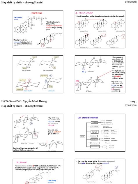 Steroid | PDF