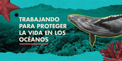 Pnud Per On Twitter M S De Mil Pescadores Y Pescadoras En Per Y