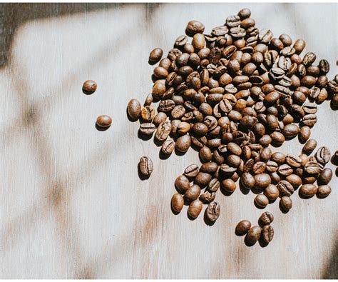 Everything you need to know about decaf coffee,…