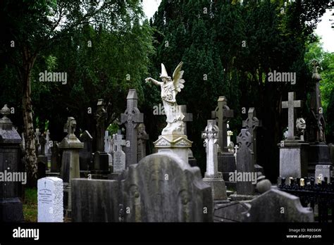 El Cementerio De Glasnevin Dublín Tallados Ornamentados Lápidas Angel Estatua Memorial Lápida