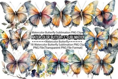 Watercolor Butterfly Sublimation Bundle Graphic By PrintExpert