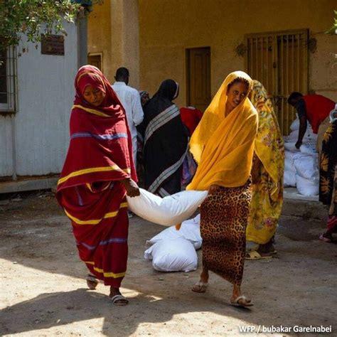 السودان يواجه أسوأ مستويات انعدام الأمن الغذائي على الإطلاق الحركة