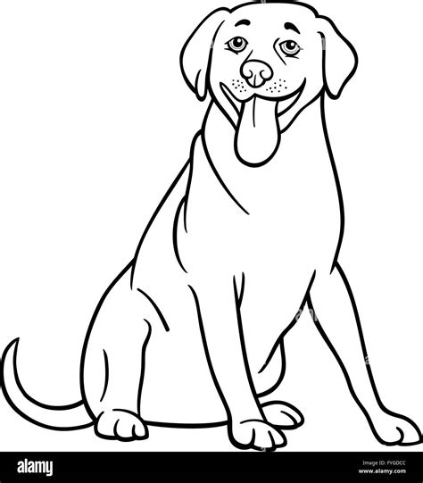 Labrador Retriever Hund Cartoon Zum Ausmalen Stockfoto Bild