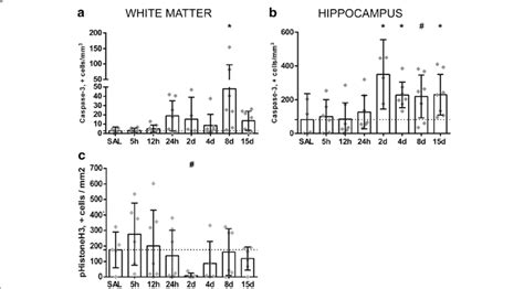 Intra Amniotic Exposure To Lps Results In A Decrease In Mitotic Cells