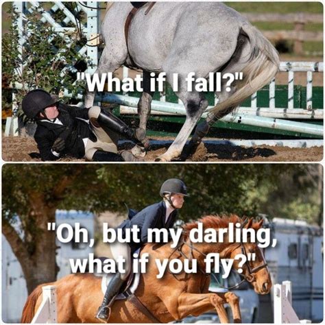 Equestrian in 2024 | Horse quotes funny, Inspirational horse quotes ...