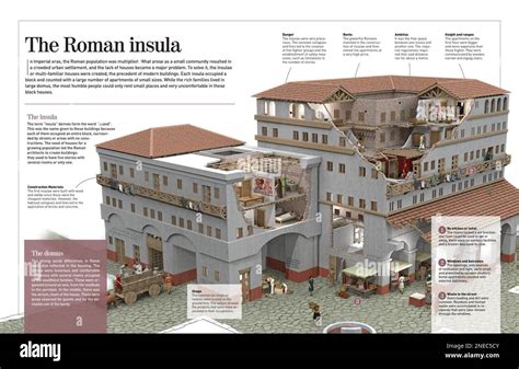 Infograf A Sobre Las Insulas Romanas Edificios De