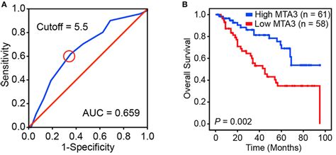 Downregulation Of Mta3 Correlates With Poor Prognosis In Human Tscc