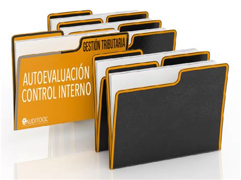 Autoevaluación del sistema de control interno de un proceso de gestión