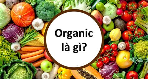 Thực Phẩm Hữu Cơ Organic Là Gì Chúng Khác Gì Với Thực Phẩm Thường