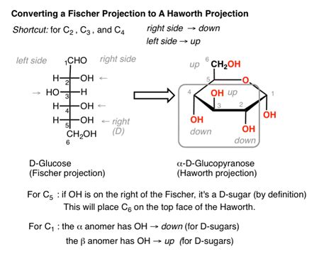 Converting A Fischer Projection To A Haworth And Vice Versa