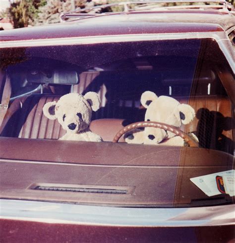 These Stock Photos Of Teddy Bears Freak Us Out Even More Than Clowns