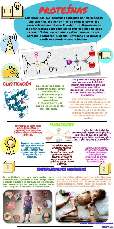 INFOGRAFÍA SOBRE LAS PROTEÍNAS