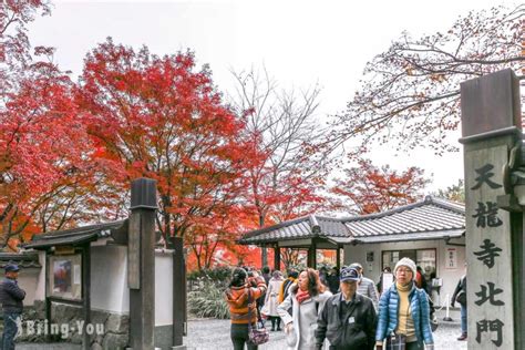 【京都嵐山一日遊】必去嵐山景點、散步路線、絕美櫻花滿開攻略 Bringyou