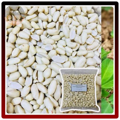 Skinless Raw Peanuts Blanched Kg G Lazada Ph