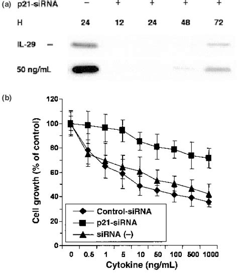 RNA Interference Inhibited Interleukin IL 29 Induced P21 Upregulation