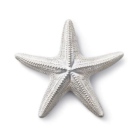 Premium AI Image There Is A Starfish That Is Sitting On A White