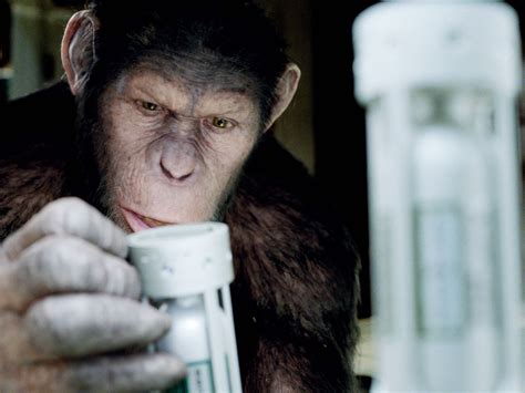 rise   planet   apes