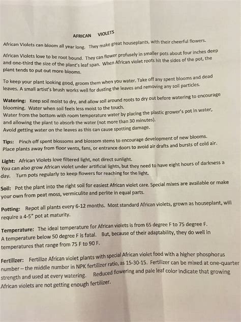 how to take care of an african violet