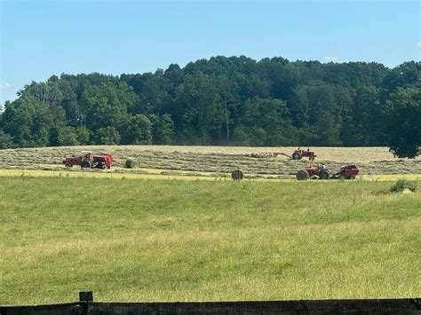 Big Piney Livestock LLC