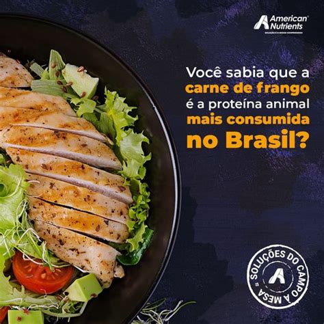 Consumo Da Prote Na De Frango American Nutrients Ci Ncia E Inova O