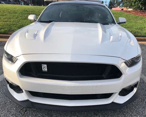 Ford Mustang Gt Mesh Grill Insert Kit By Customcargrills