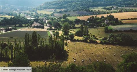 Changement climatique en France le lent déclin des forêts constaté