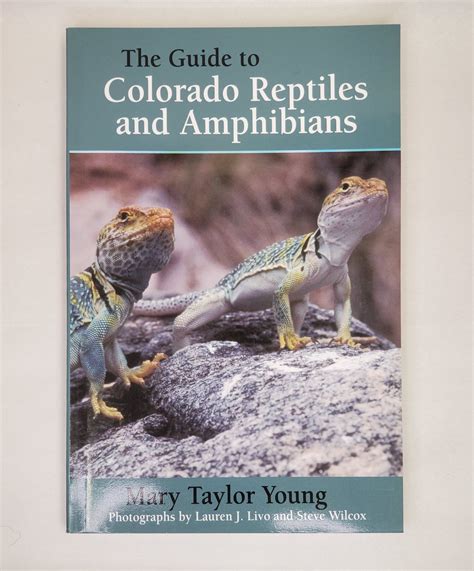 Colorado Reptiles And Amphibians My Site