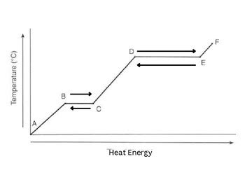 Phase Change Graph Game by Dr Sci Gal | TPT