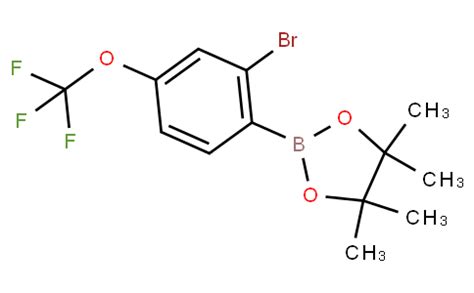 Boronic Esters Products Boroncore