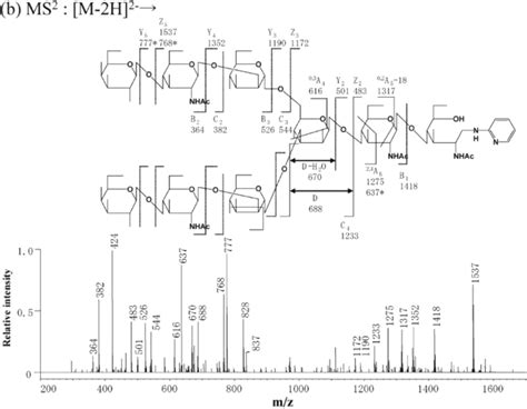 Negative Ion Collisioninduced Dissociation Cid Spectrum Of The