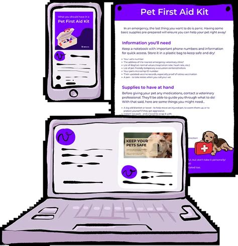 Pet First Aid Kit - Vetstoria Content Packs