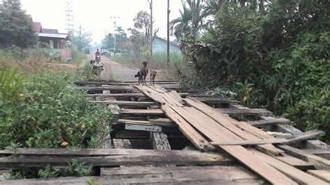 Miris Ini Kondisi Jembatan Yang Menjadi Urat Nadi Perekonomian Warga