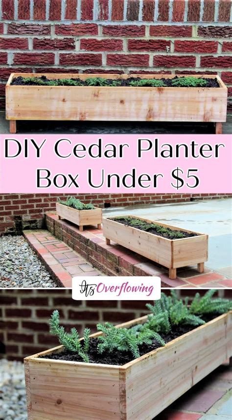 Diy Cedar Planter Box Artofit