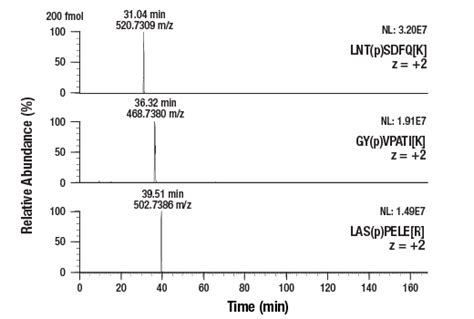 PTMScan Control Peptides Phospho Enrichment IMAC Cell Signaling