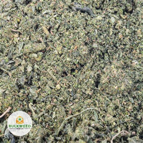 Gassy Tuna Craft Shake Weed (1 Pound) | Buy Weed Online | Online Dispensary