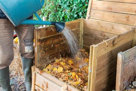 Quelles Feuilles Viter Lors De La Production De Compost